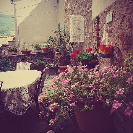 Appartement Dimora Toscana à Seggiano Extérieur photo
