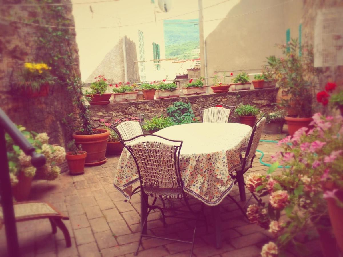 Appartement Dimora Toscana à Seggiano Extérieur photo