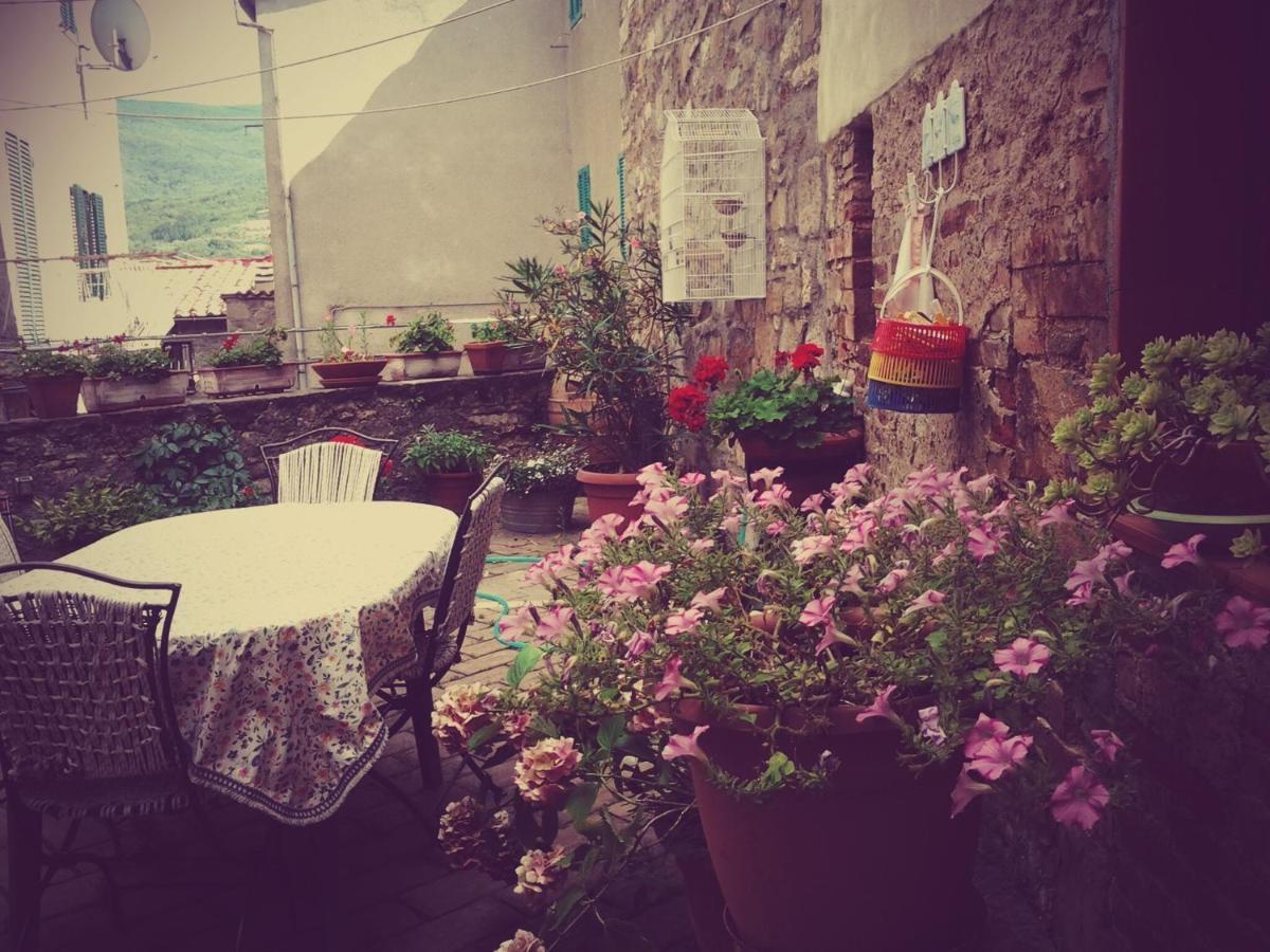 Appartement Dimora Toscana à Seggiano Extérieur photo