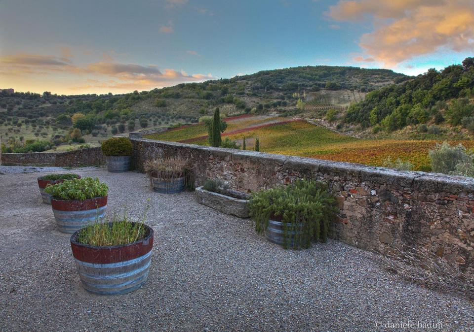 Appartement Dimora Toscana à Seggiano Extérieur photo