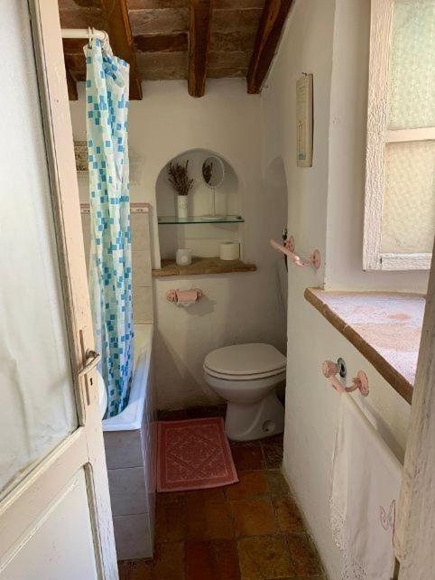 Appartement Dimora Toscana à Seggiano Extérieur photo