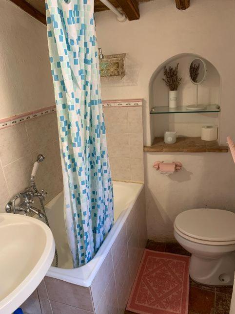 Appartement Dimora Toscana à Seggiano Extérieur photo