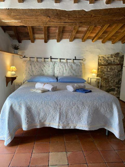 Appartement Dimora Toscana à Seggiano Extérieur photo